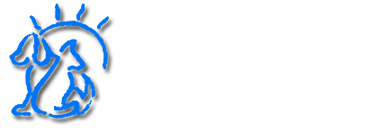 south shore veterinary services