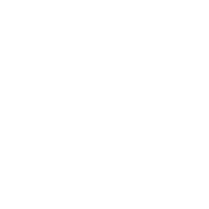 Heart and paw icon representing compassionate pet care at South Shore Veterinary Hospital