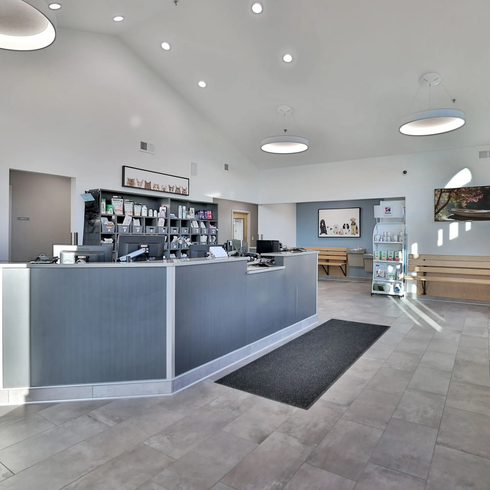 Reception Reception area at South Shore Veterinary Hospital