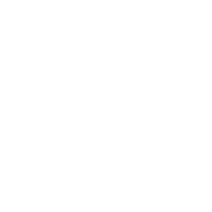 Veterinarian profile icon representing experienced veterinary doctors at South Shore Veterinary Hospital