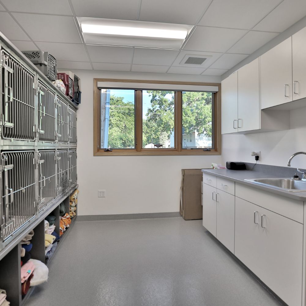Cat Ward Cat Ward at South Shore Veterinary Hospital