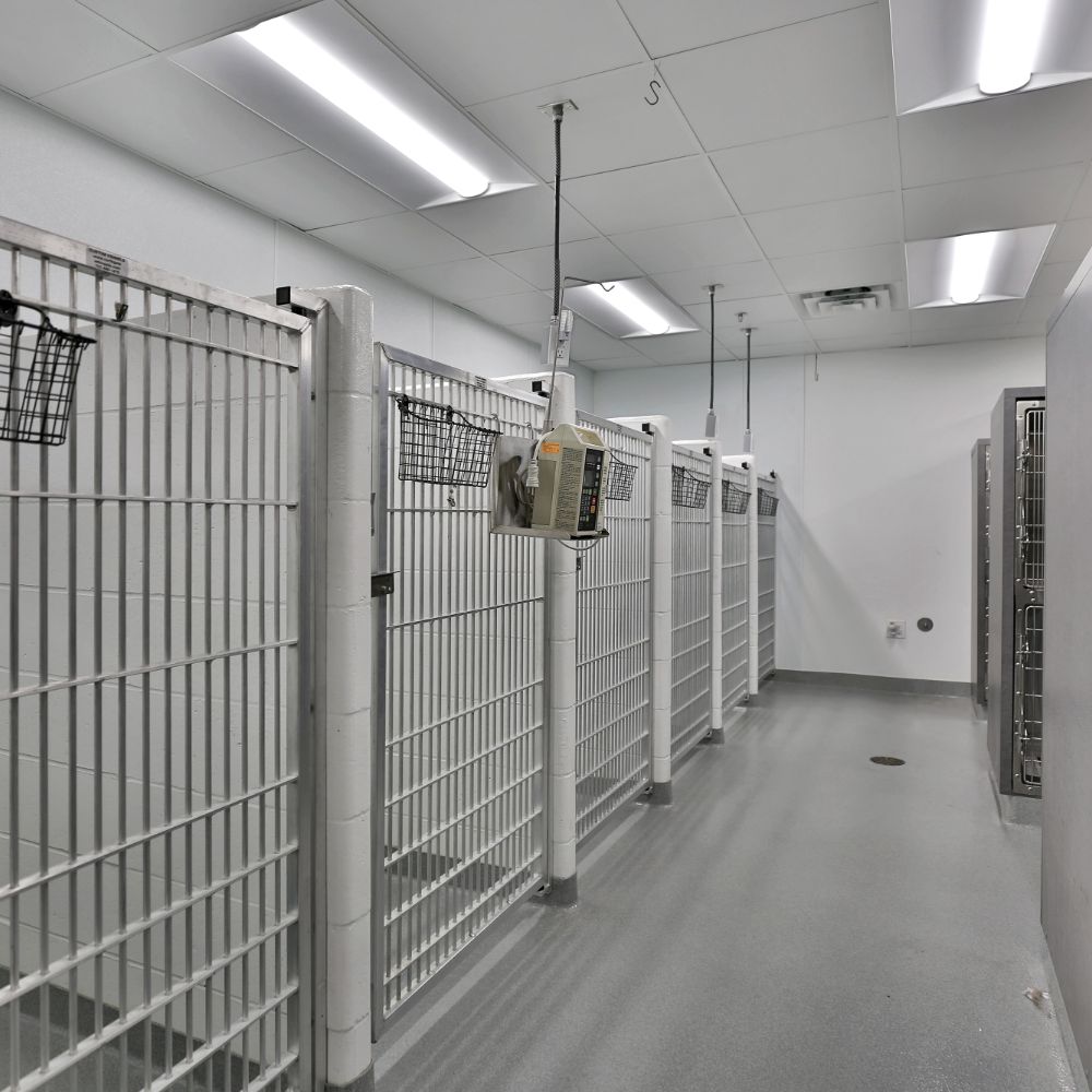 Dog Ward Dog Ward at South Shore Veterinary Hospital