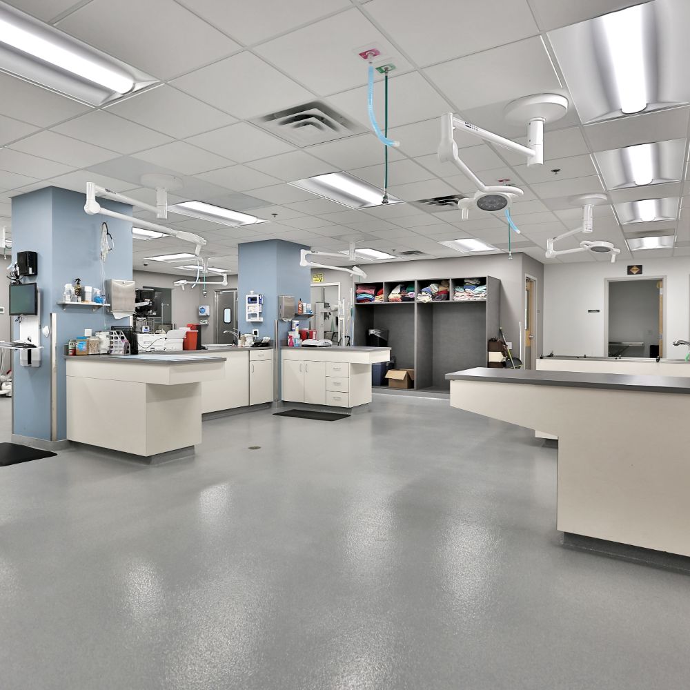 Treatment Treatment area at South Shore Veterinary Hospital