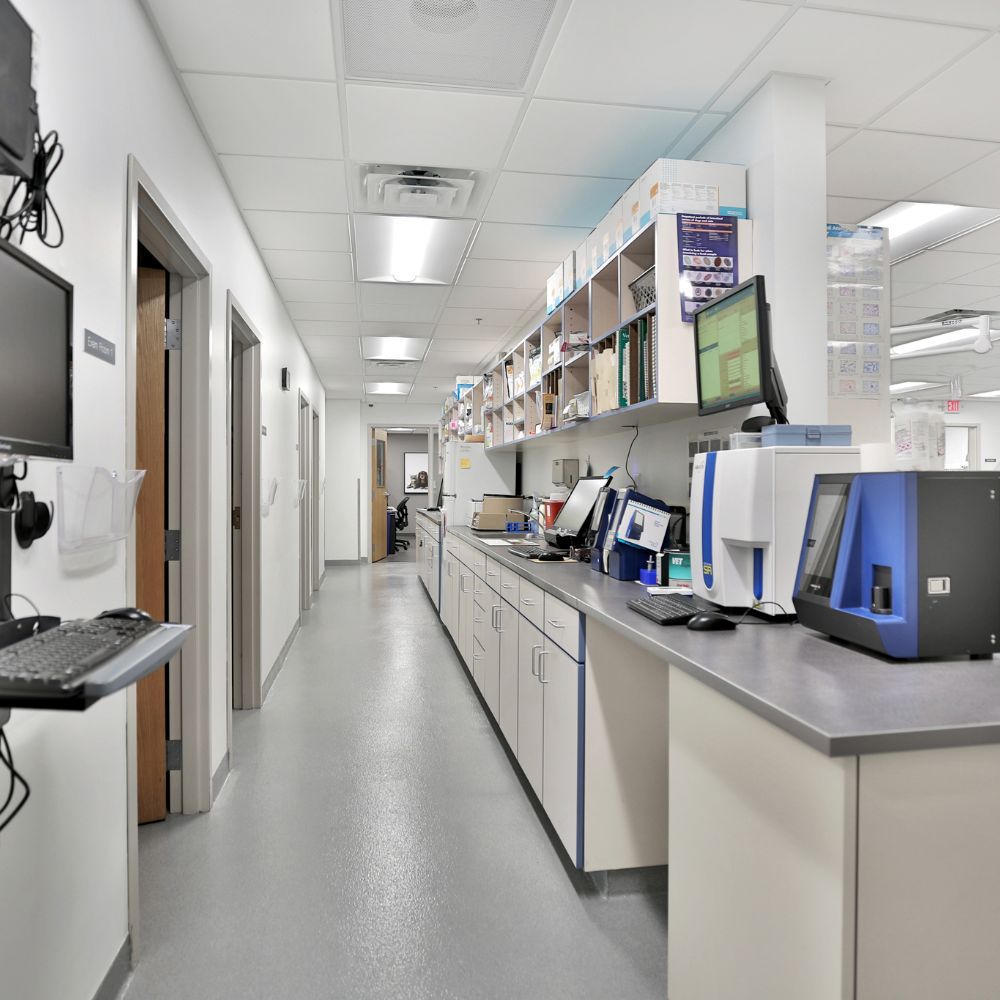 Laboratory Laboratory at South Shore Veterinary Hospital