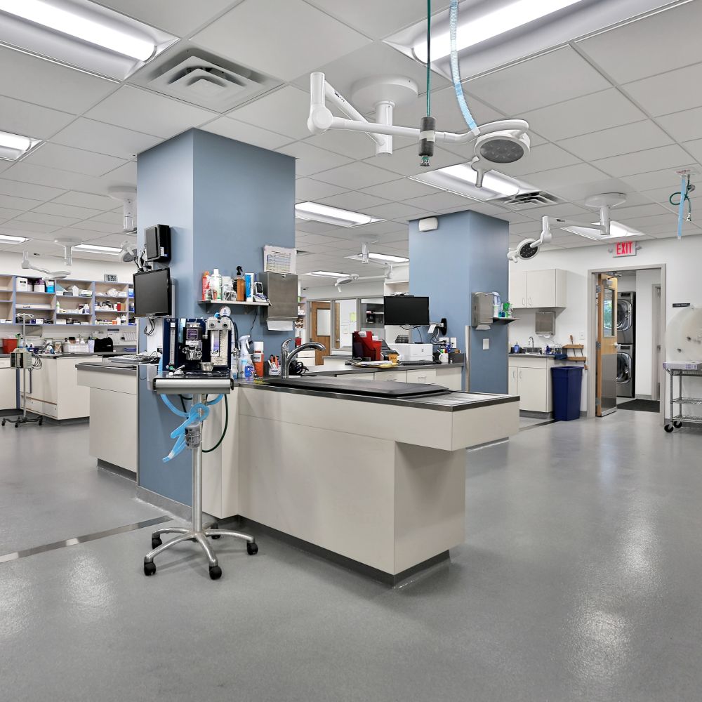 Surgery Prep Surgery Prep area at South Shore Veterinary Hospital