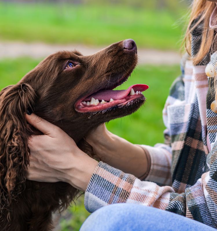 woman petting a brown dog